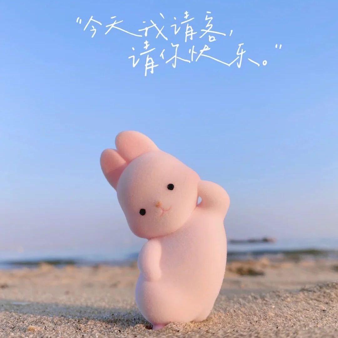 小学渣