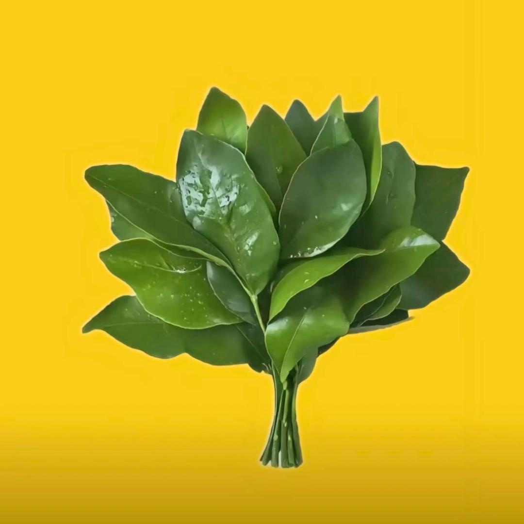 萍萍💞