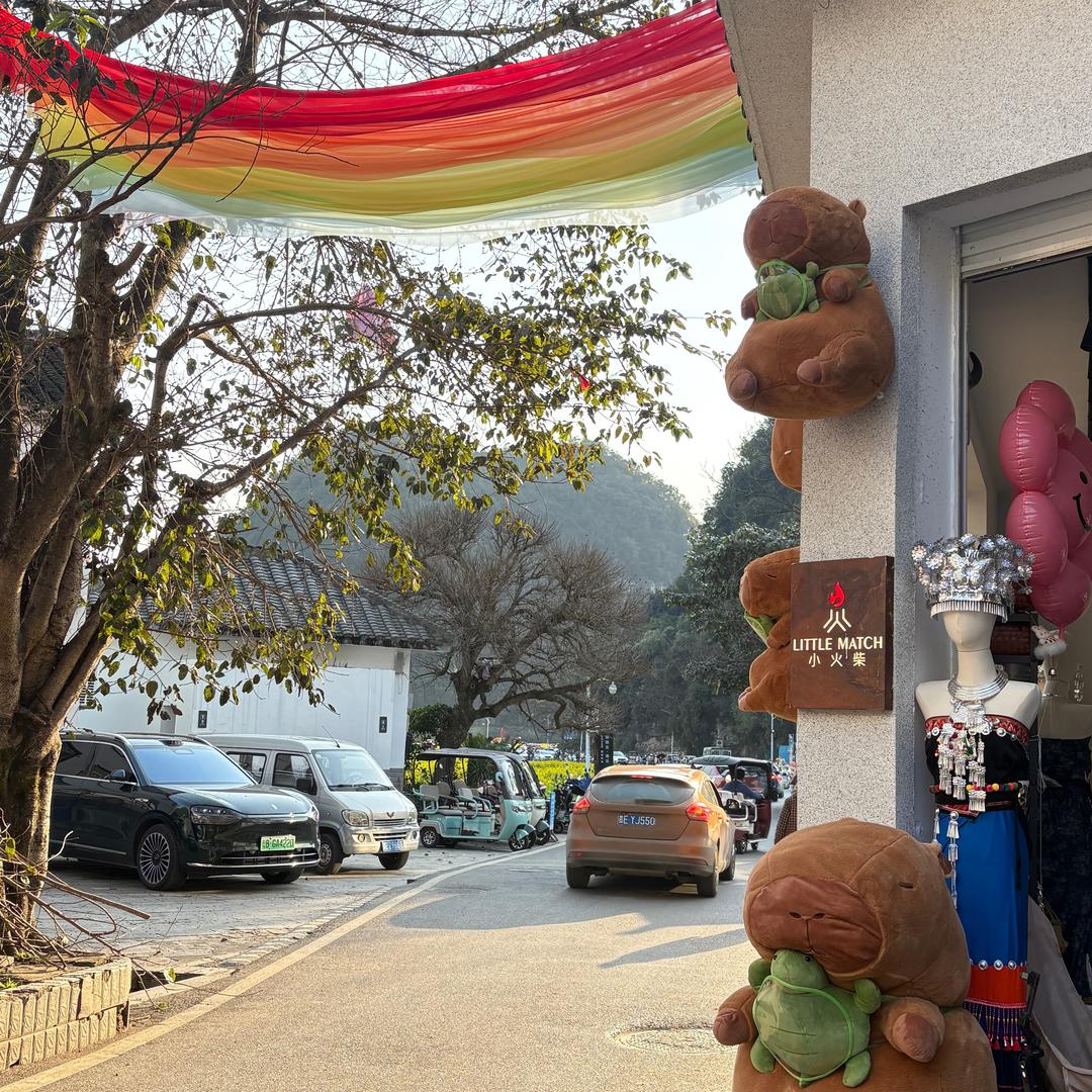 小火柴艺术摄影【万峰林店】