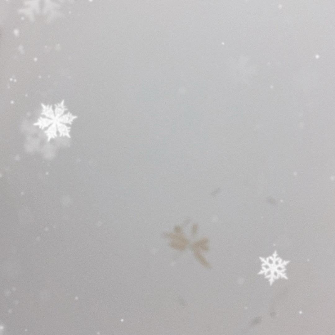 给回家