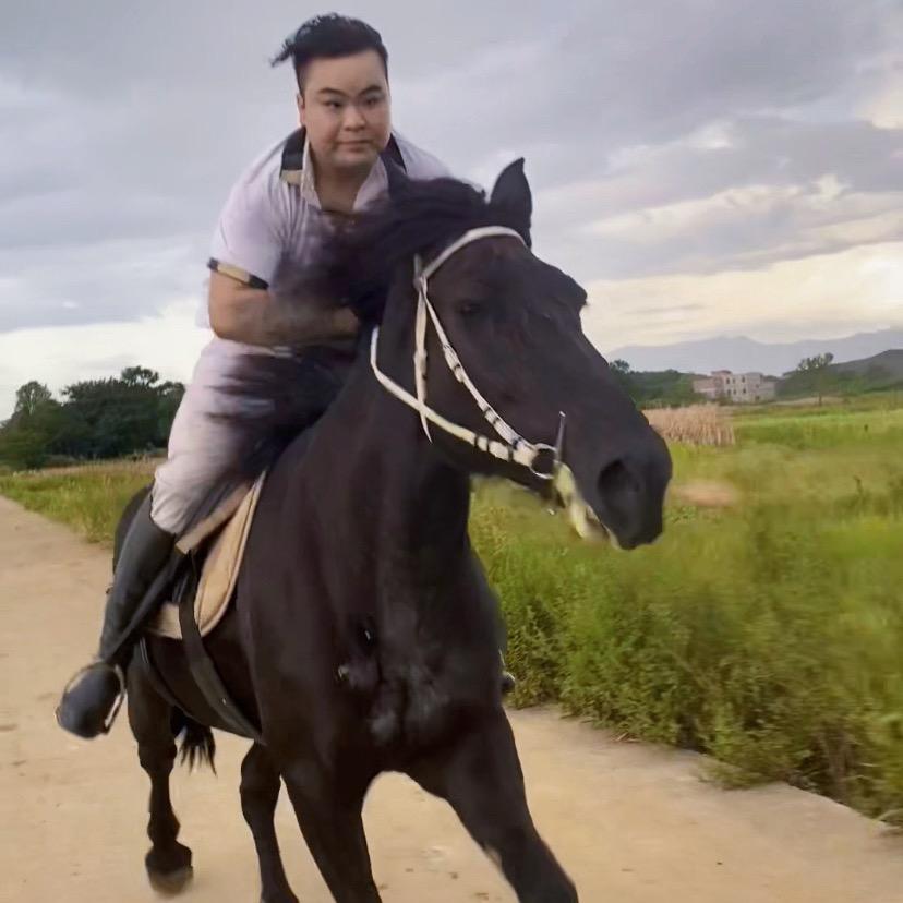 A马背上的何公子🏇 🏇🐎🐎