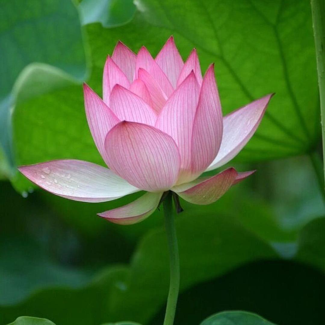 小潘