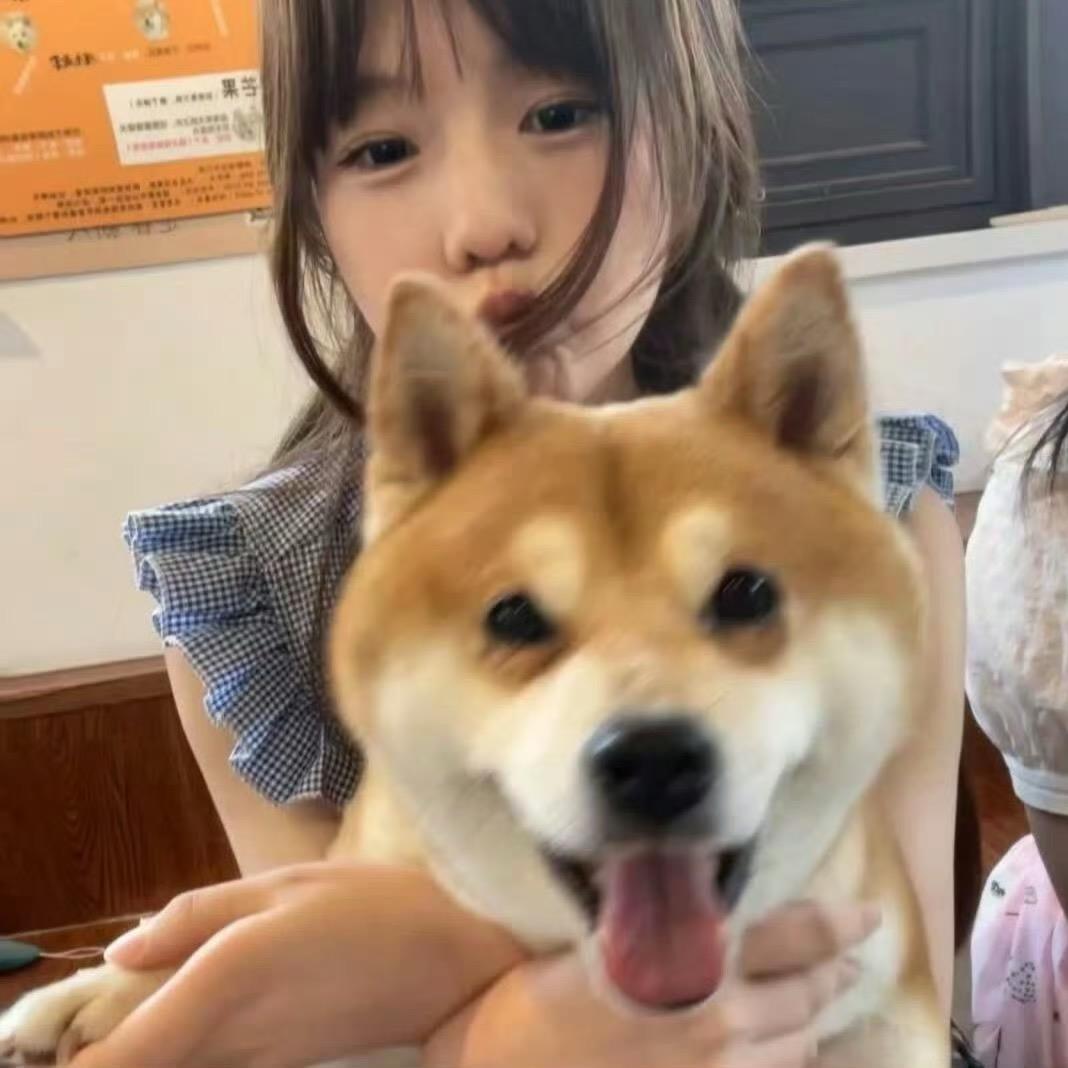 小羊.