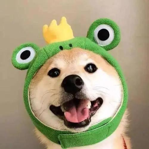 罒生来不讨喜