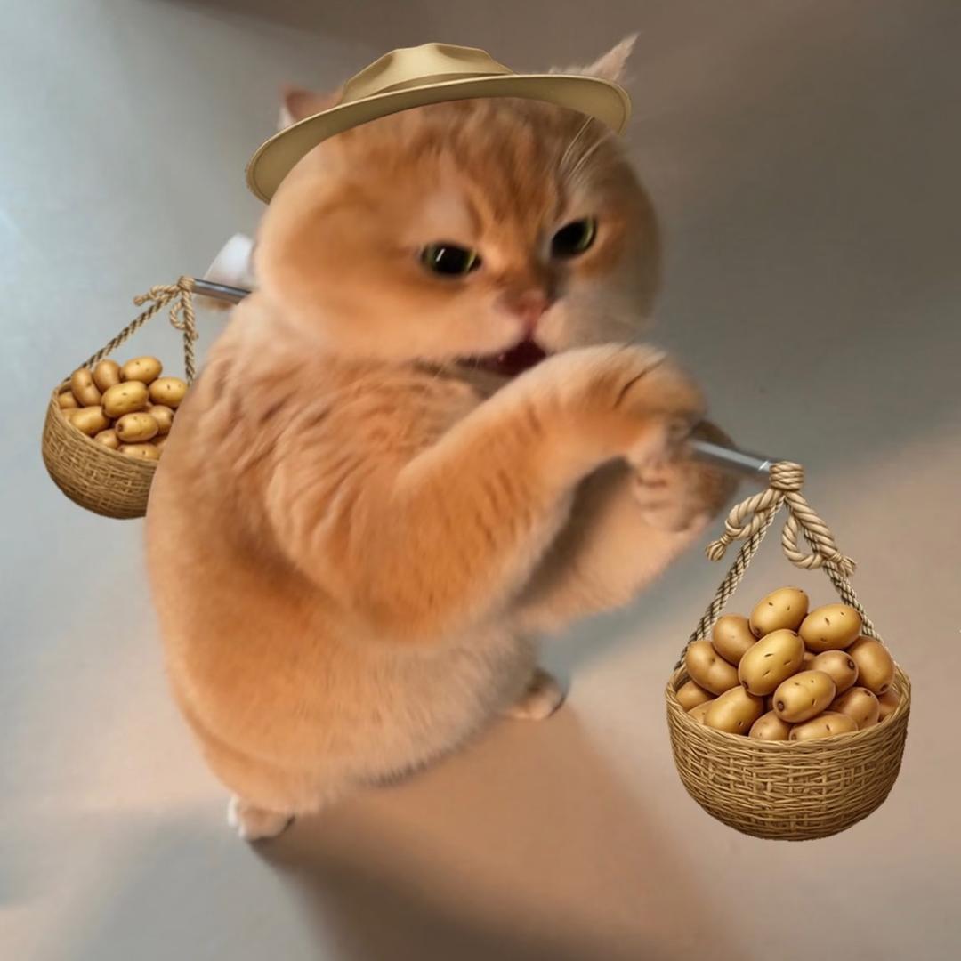 土豆小生🪭