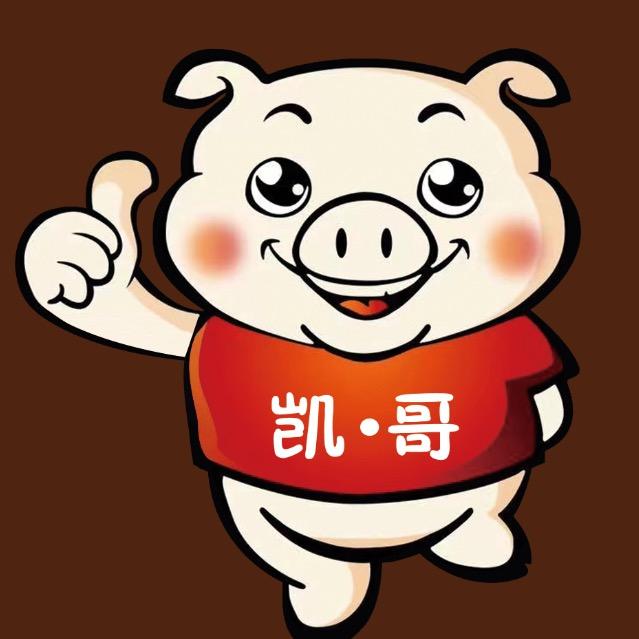 何记凯哥猪脚饭