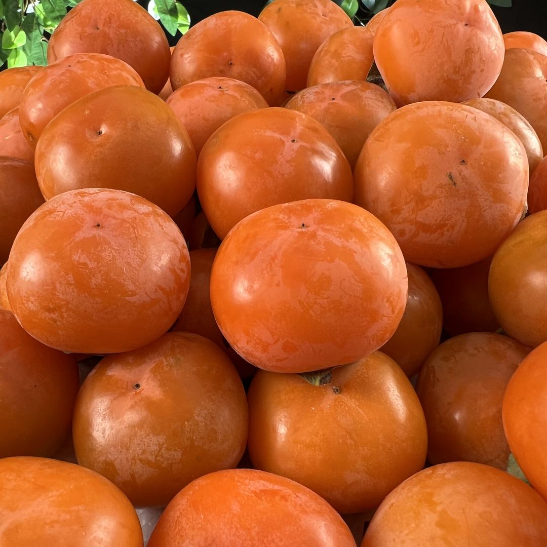 闹闹诺诺家果园