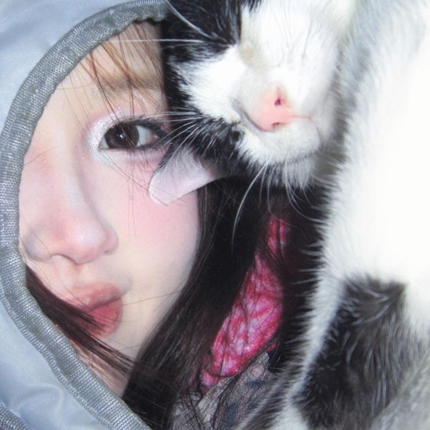 剪了堆猫（30猫13🐟开小店赚猫粮版