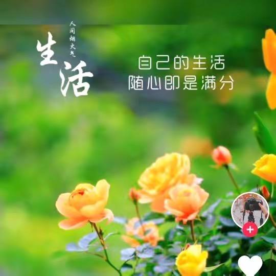 一生无悔