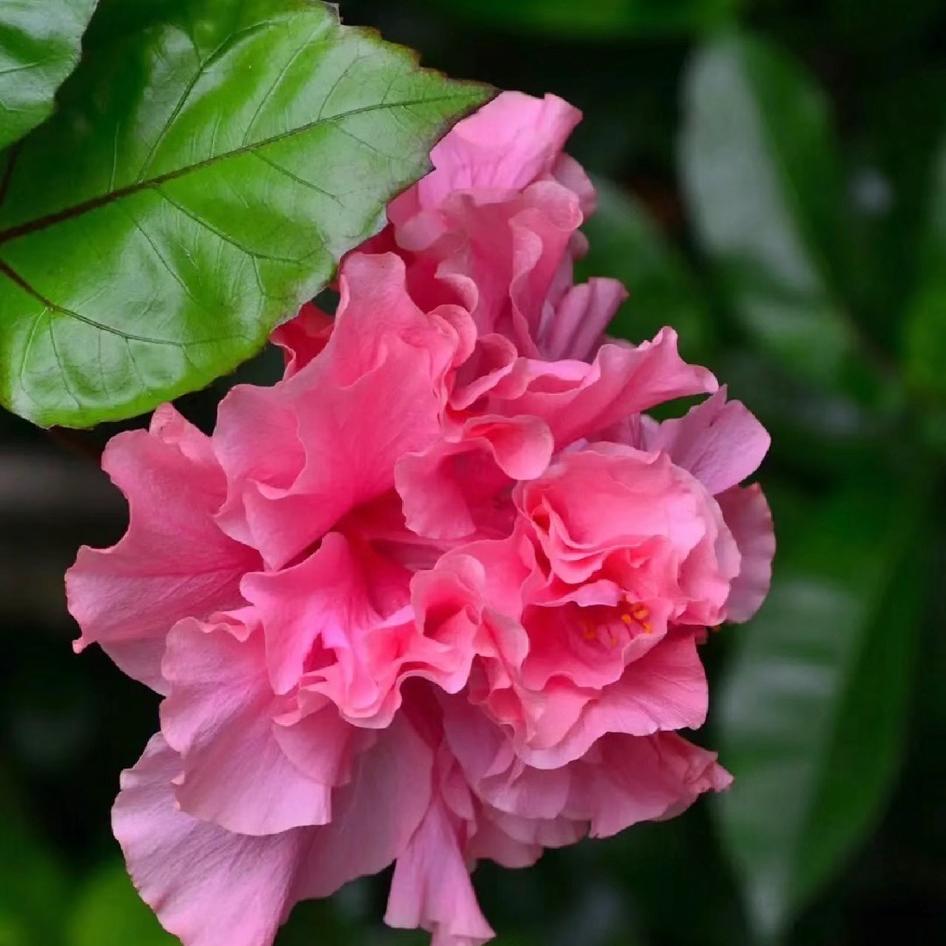 拾光花语