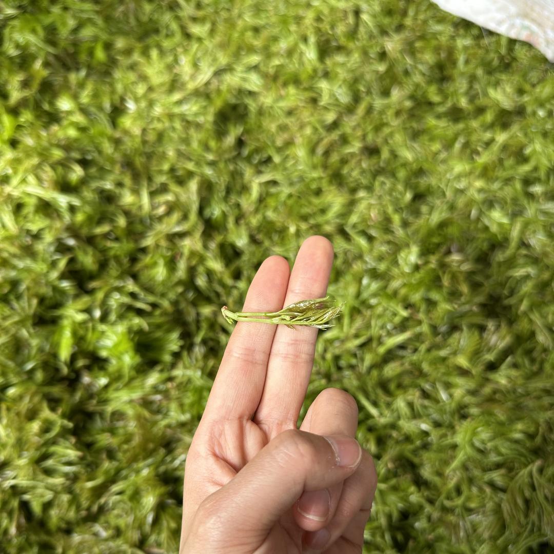 永顺县好姐妹土特产甄选店