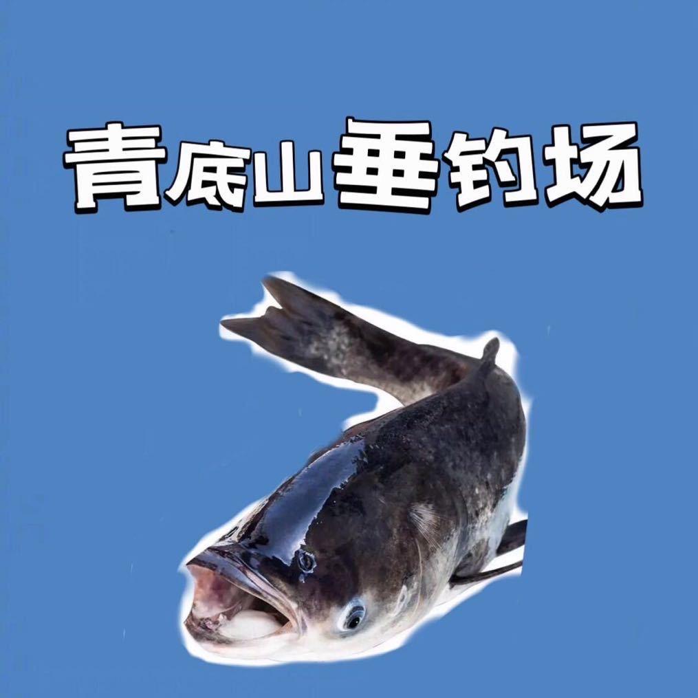 临安青底山垂钓场