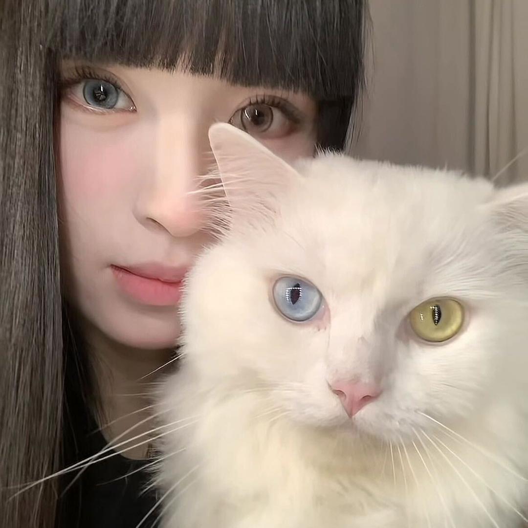 汤圆爱睡觉～