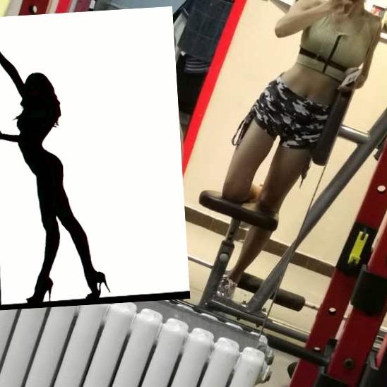 想做你怀里的猫