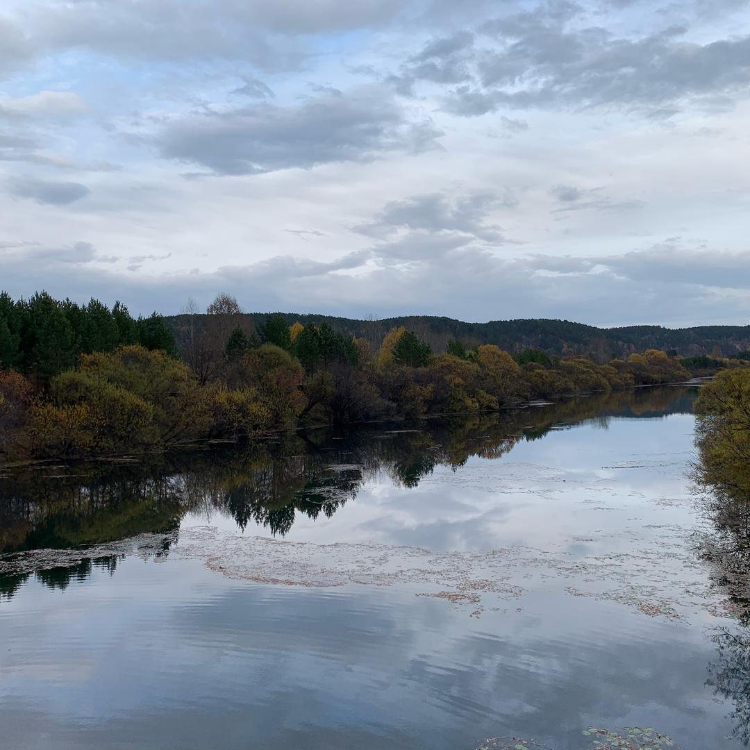 🌞自由如风01🌞