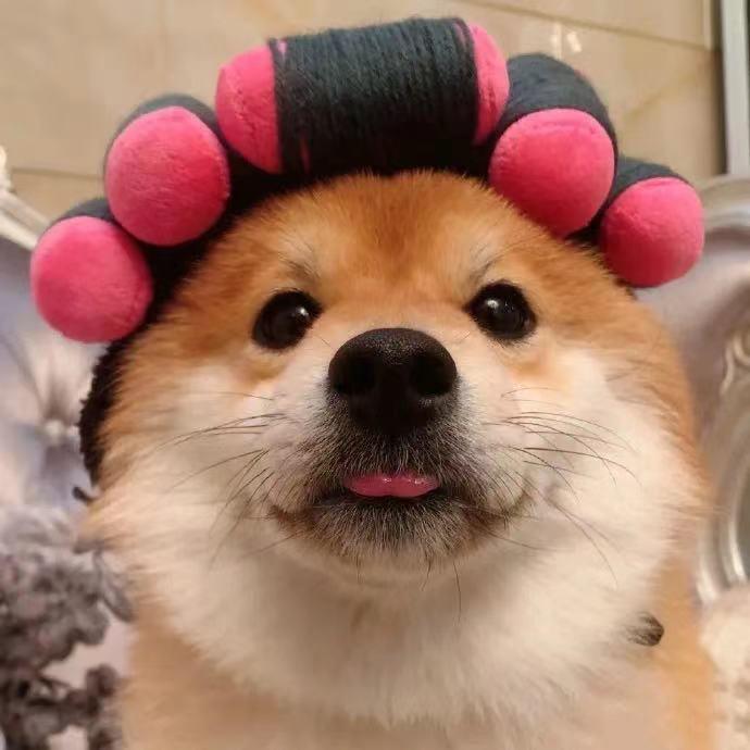 彼乐