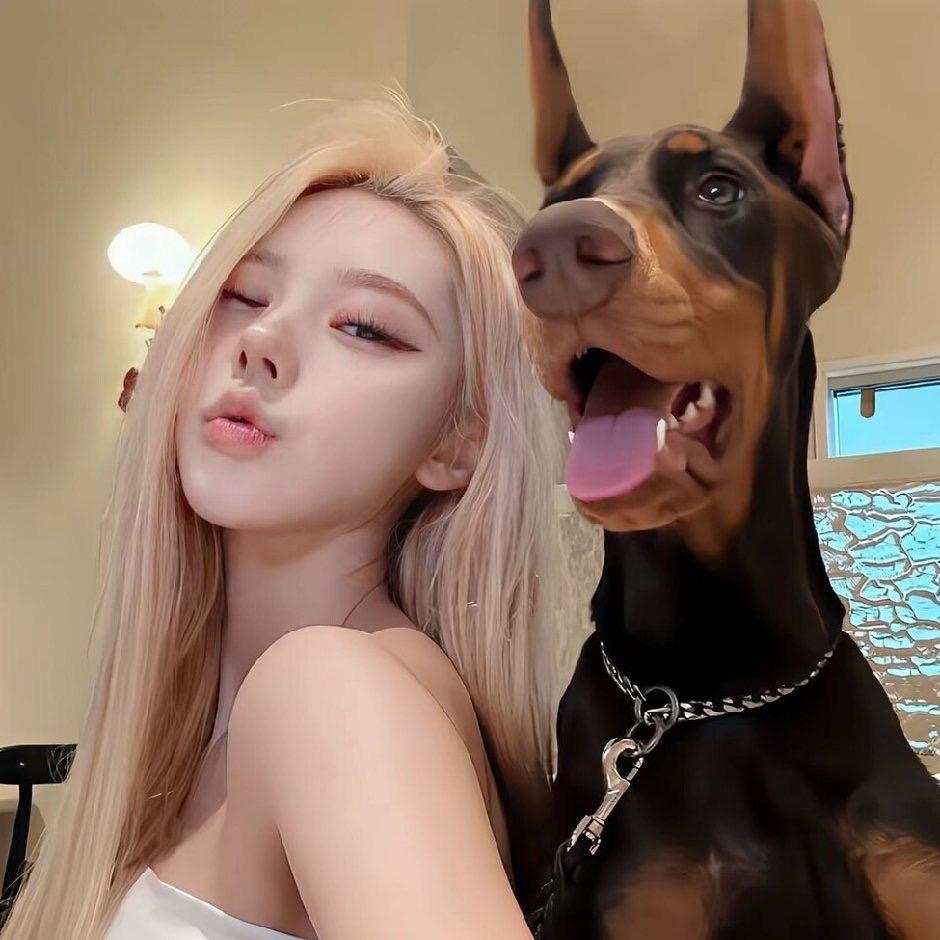 女王👸艾斯S