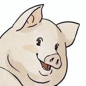 瘦瘦的胖子
