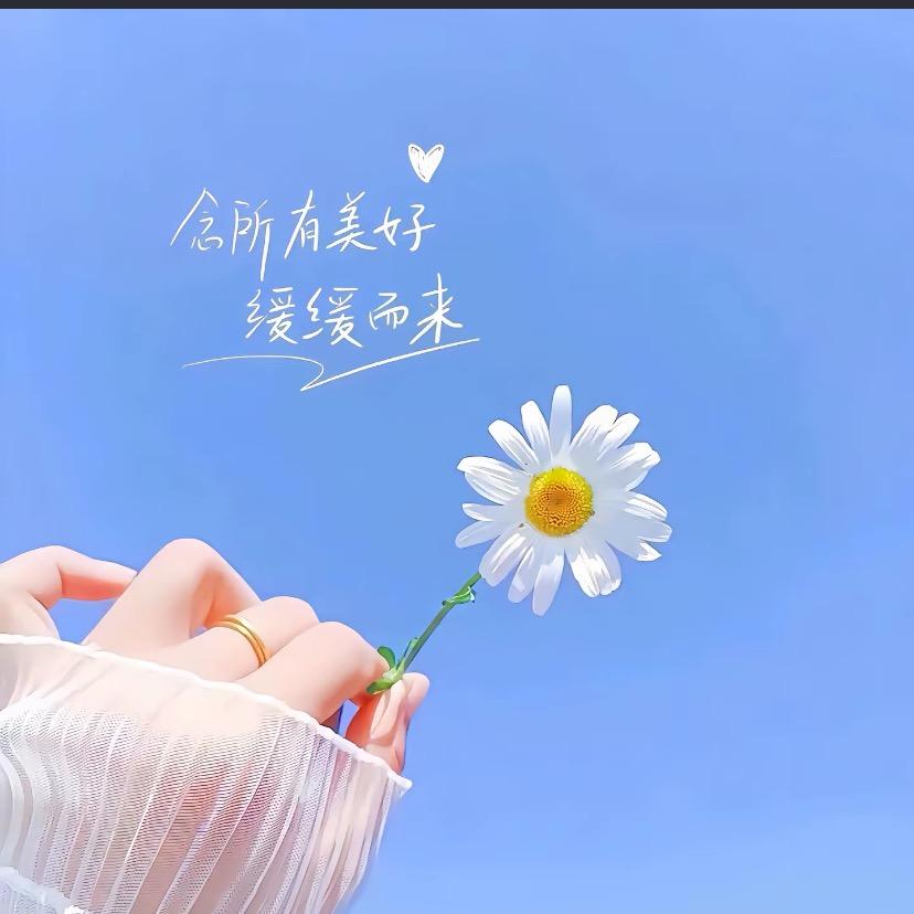 晴天短视频