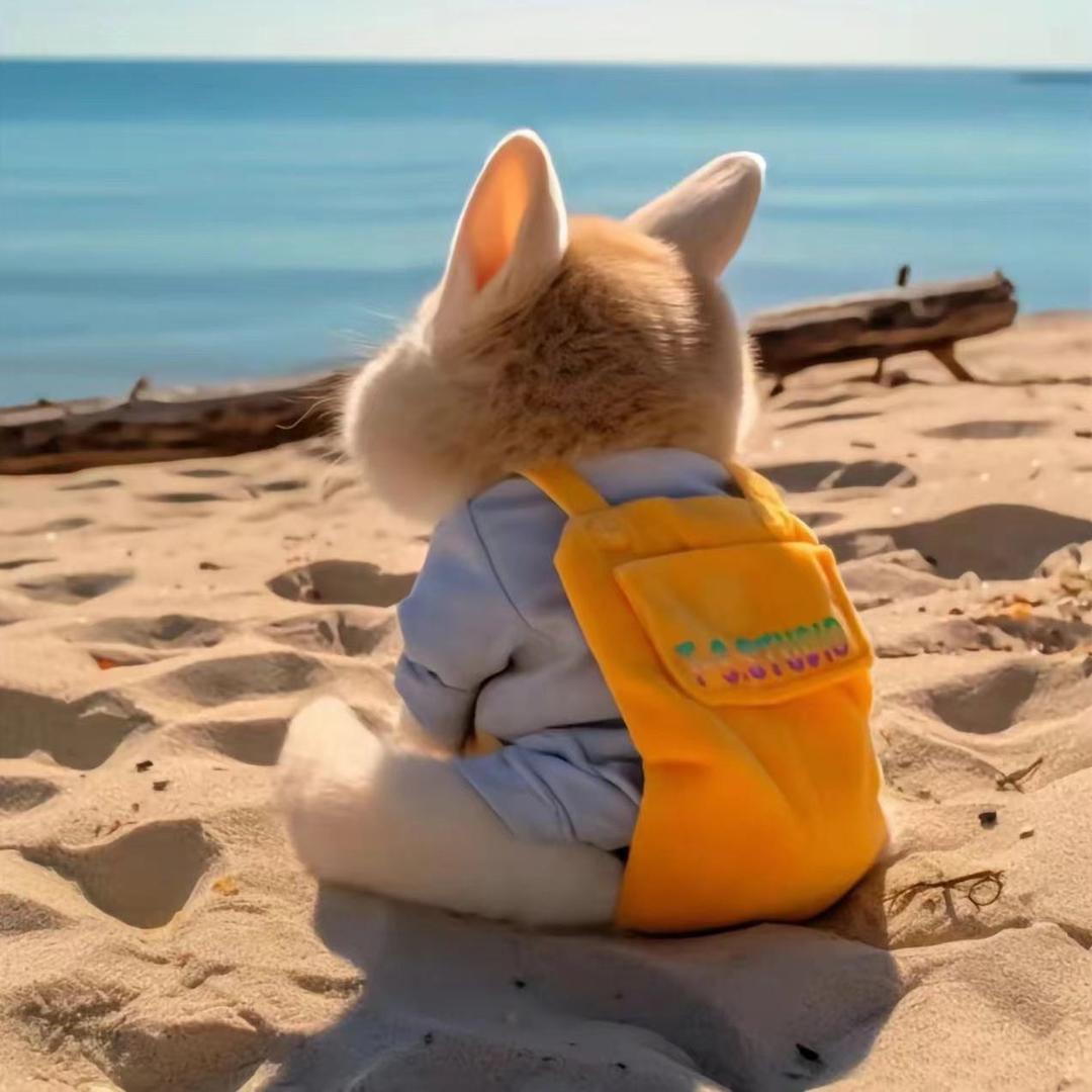 🌈🌈幸运飞猪🐷