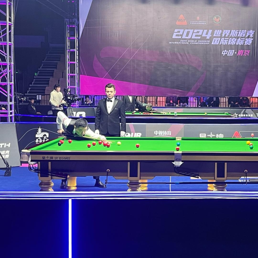 青松的阅读理解