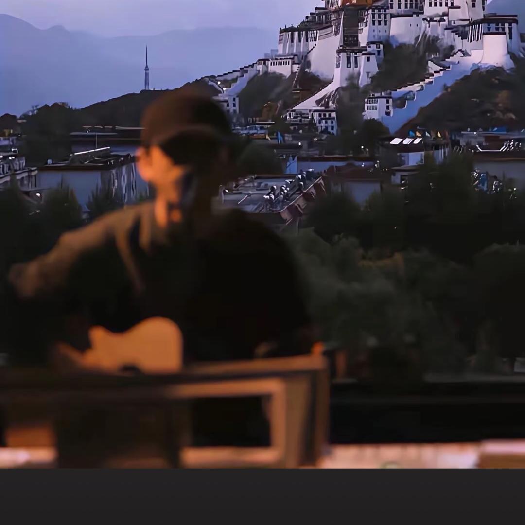 飞无人机的菠萝🍍