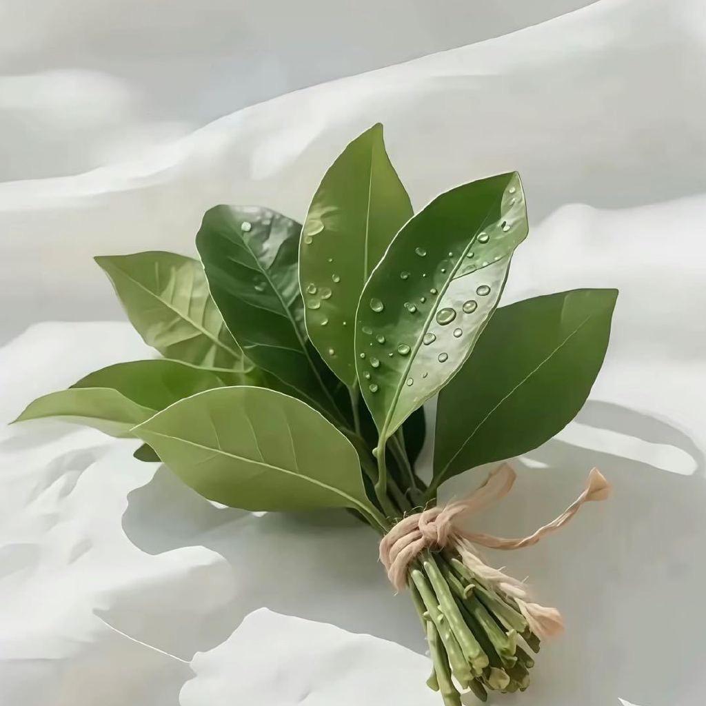 大脸猫大脸猫🐱爱吃鱼