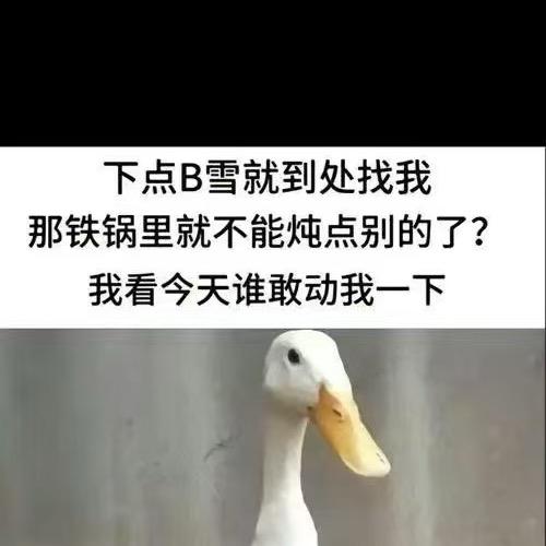 王元鹅