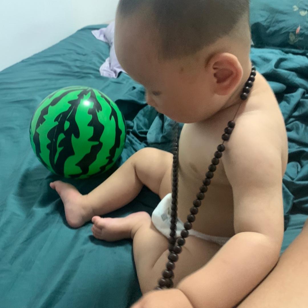 🐬容朕开心两天