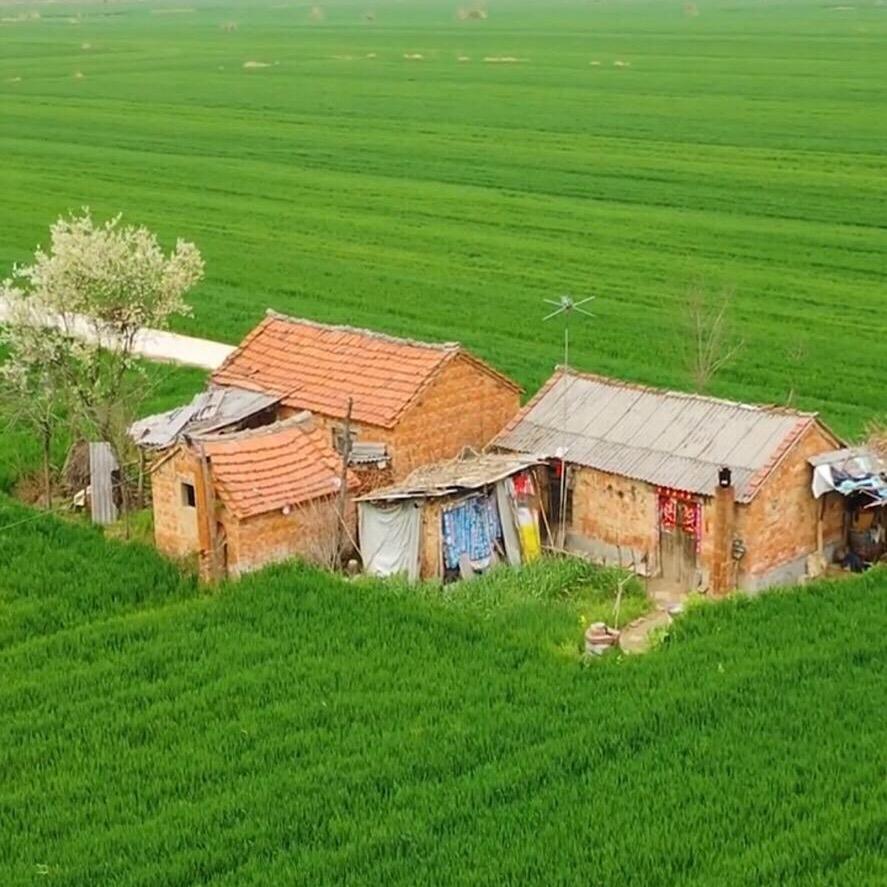 丁丁的碎碎念