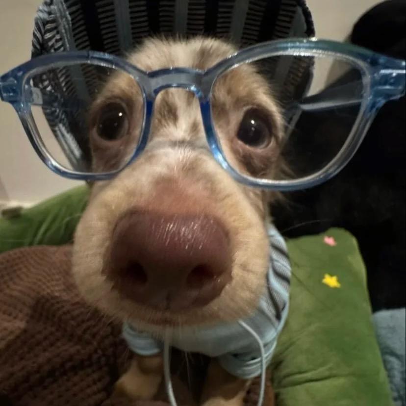 小羊🌨️（组局版）