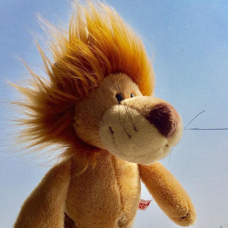 谁会拒绝一只可爱的吼猴