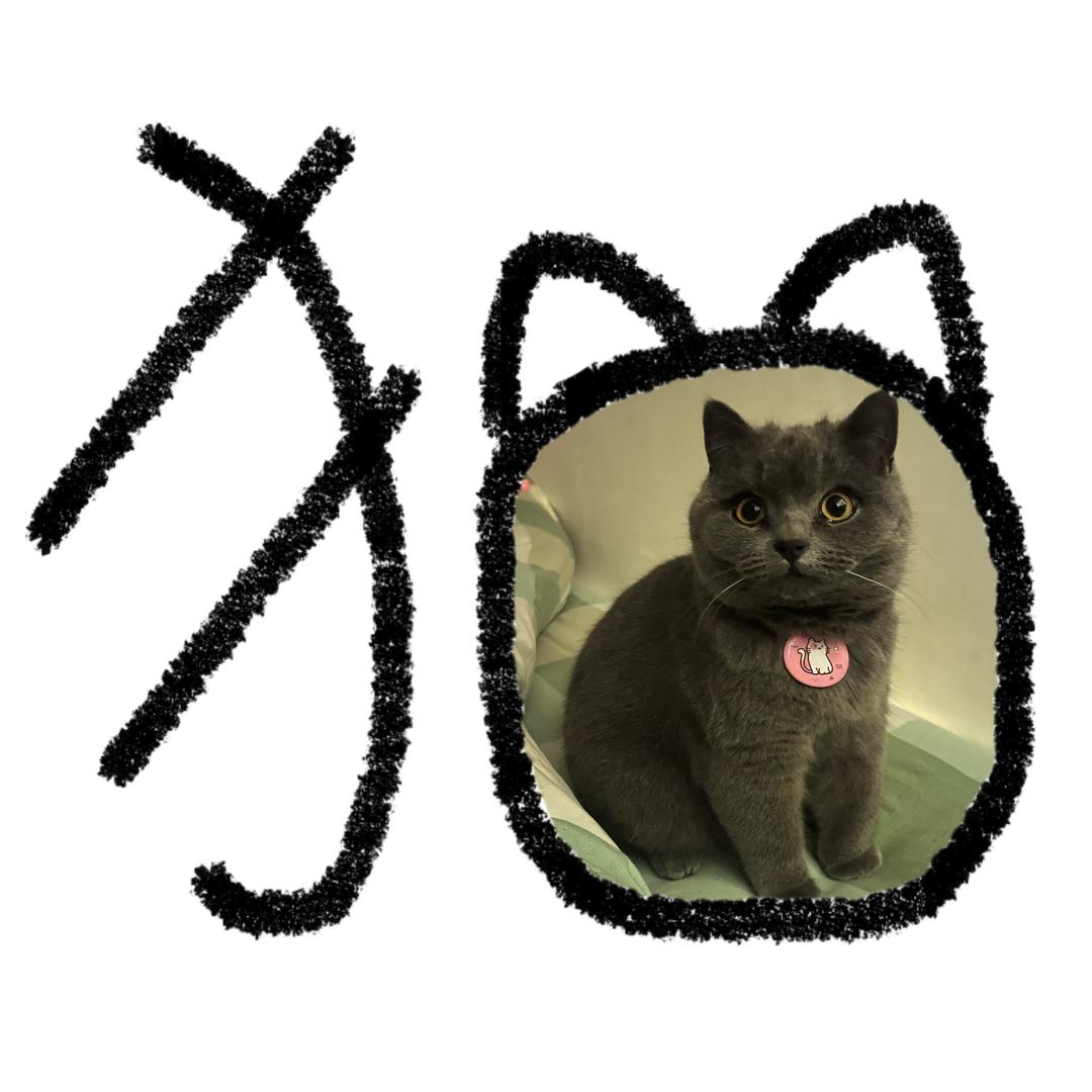 魏魏子           🦔