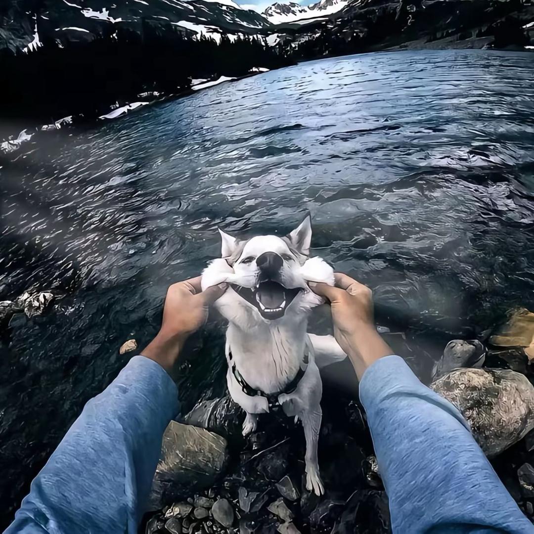 人群是那么像羊群