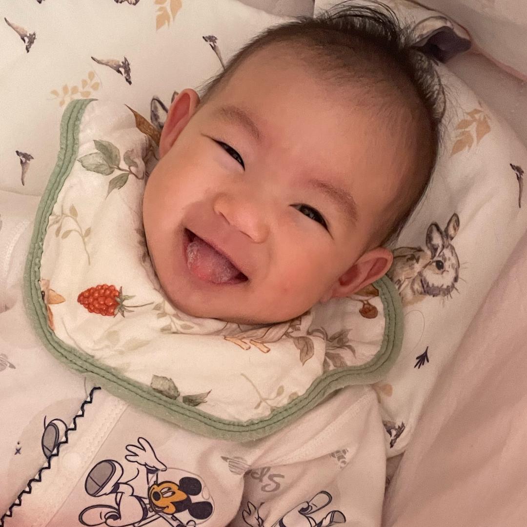 王总养的🐷