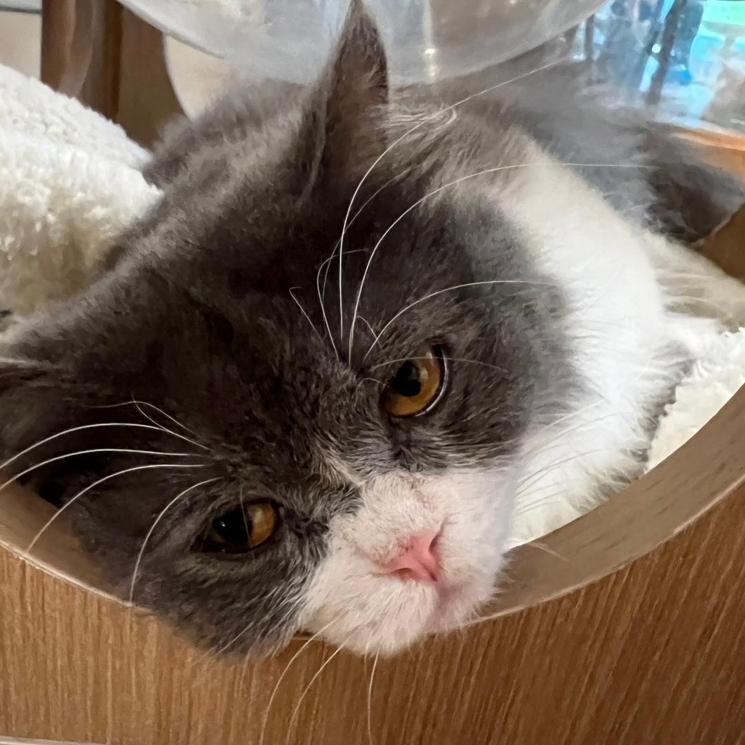 鼻屎拌饭越嚼越香