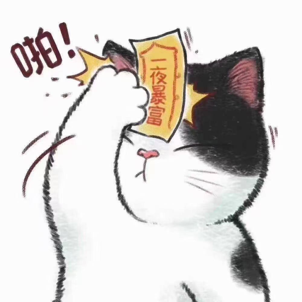 小羊戈戈严选