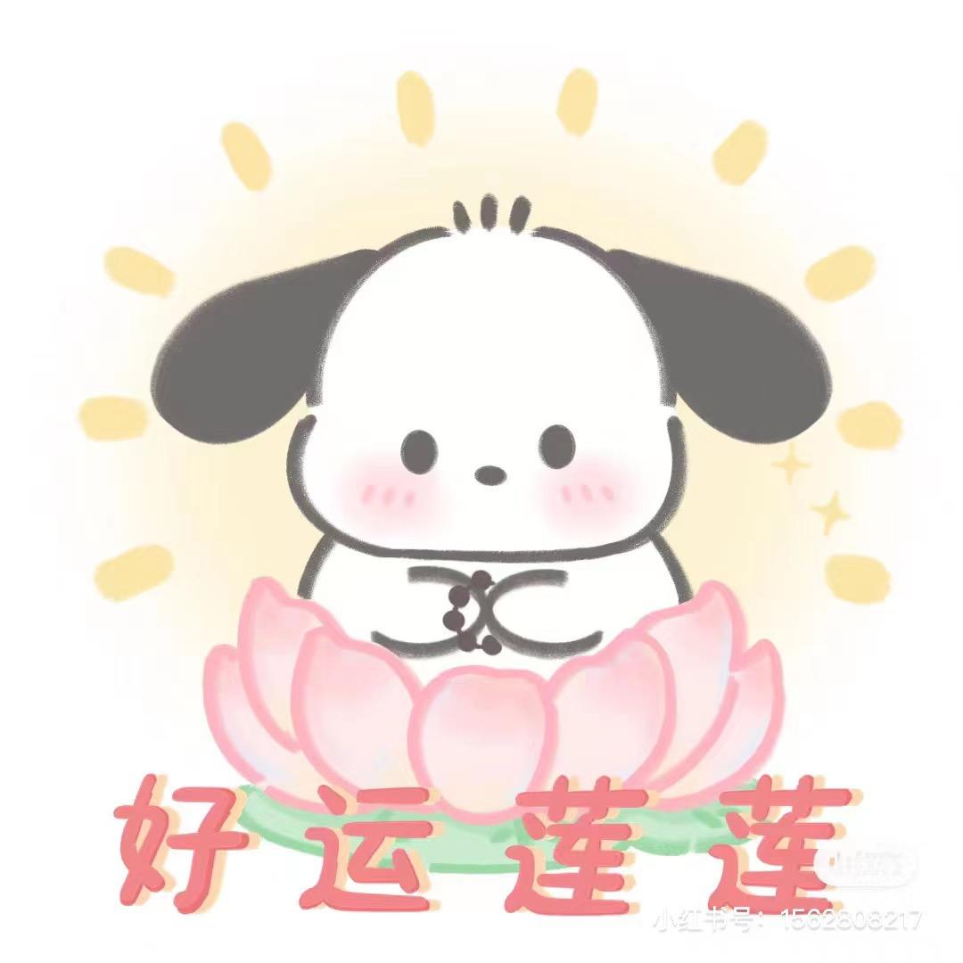 妙妙子潮玩