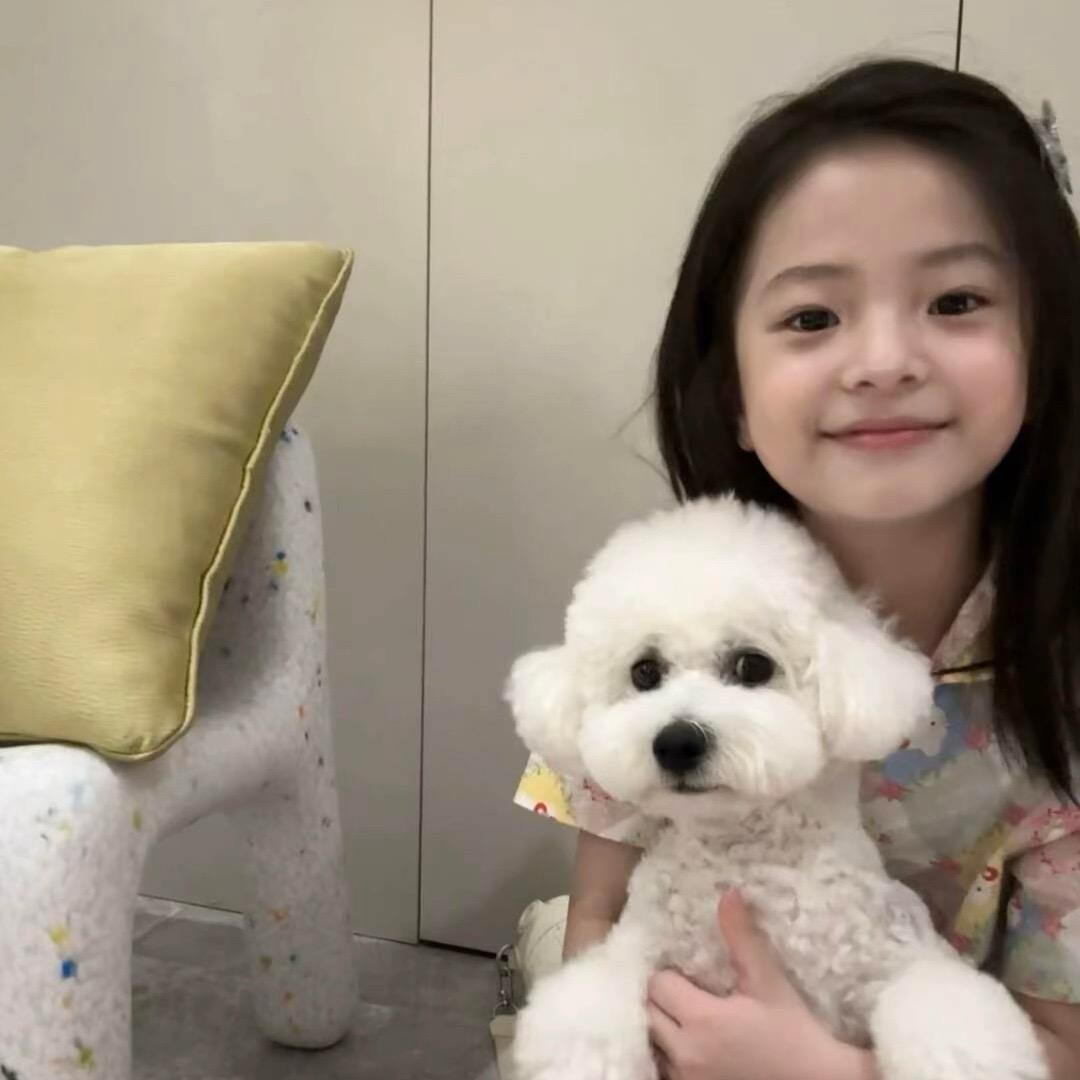 @乔仙森
