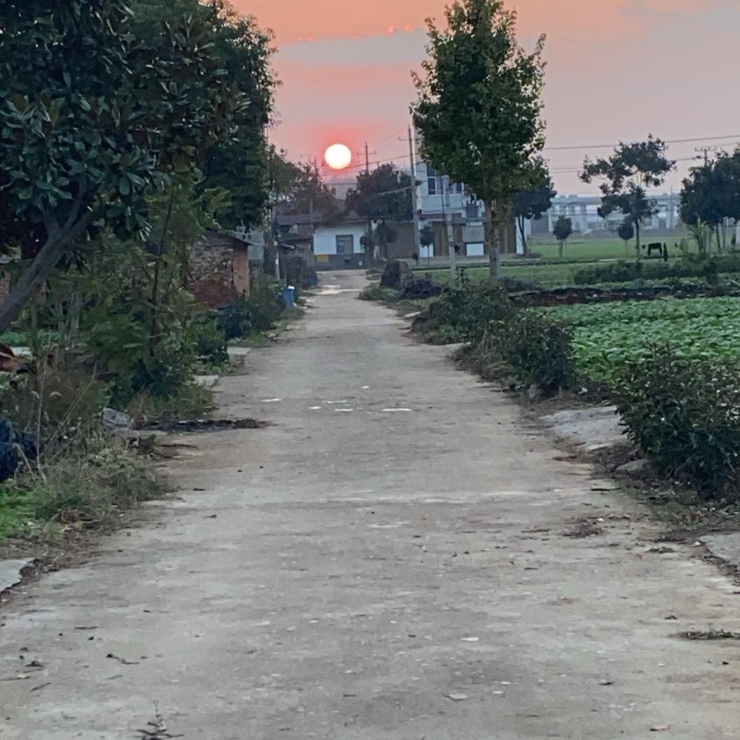 ❤️🍊❤️