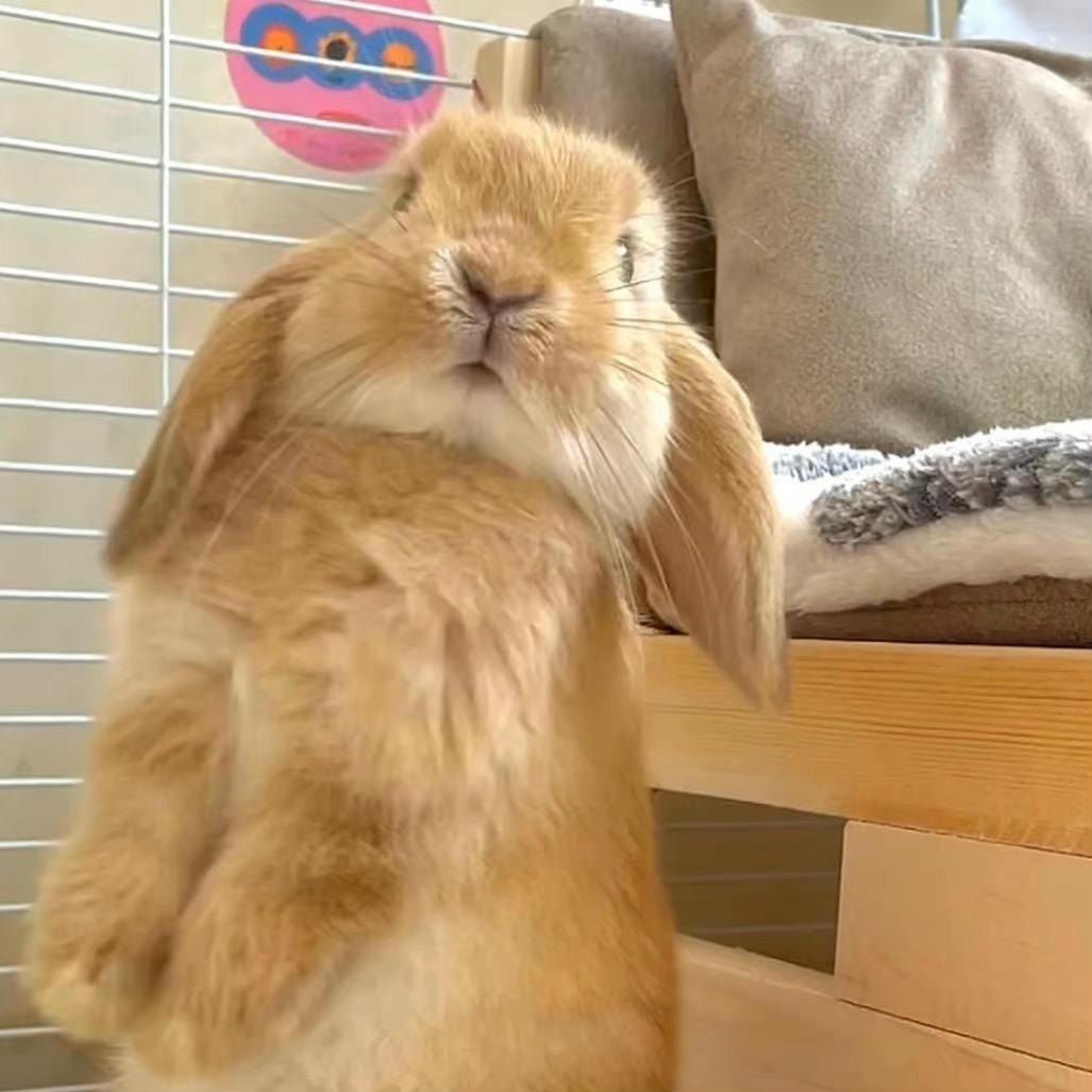 212（见过黄景瑜版）