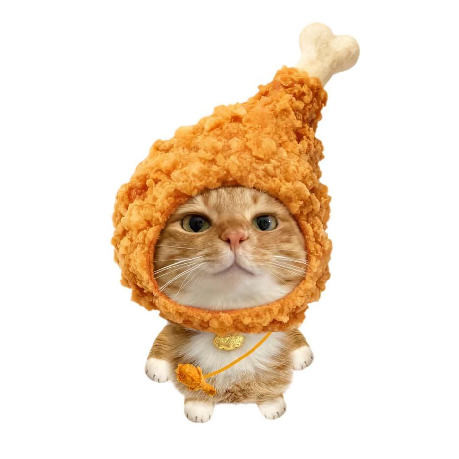 祁芷