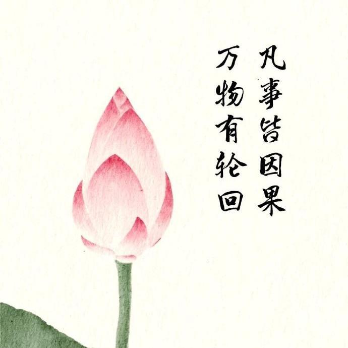 添添乐
