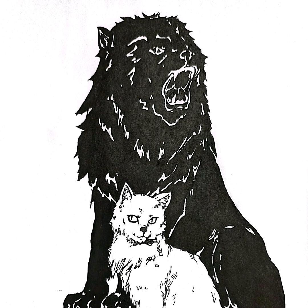 陈皮大师傅事务所