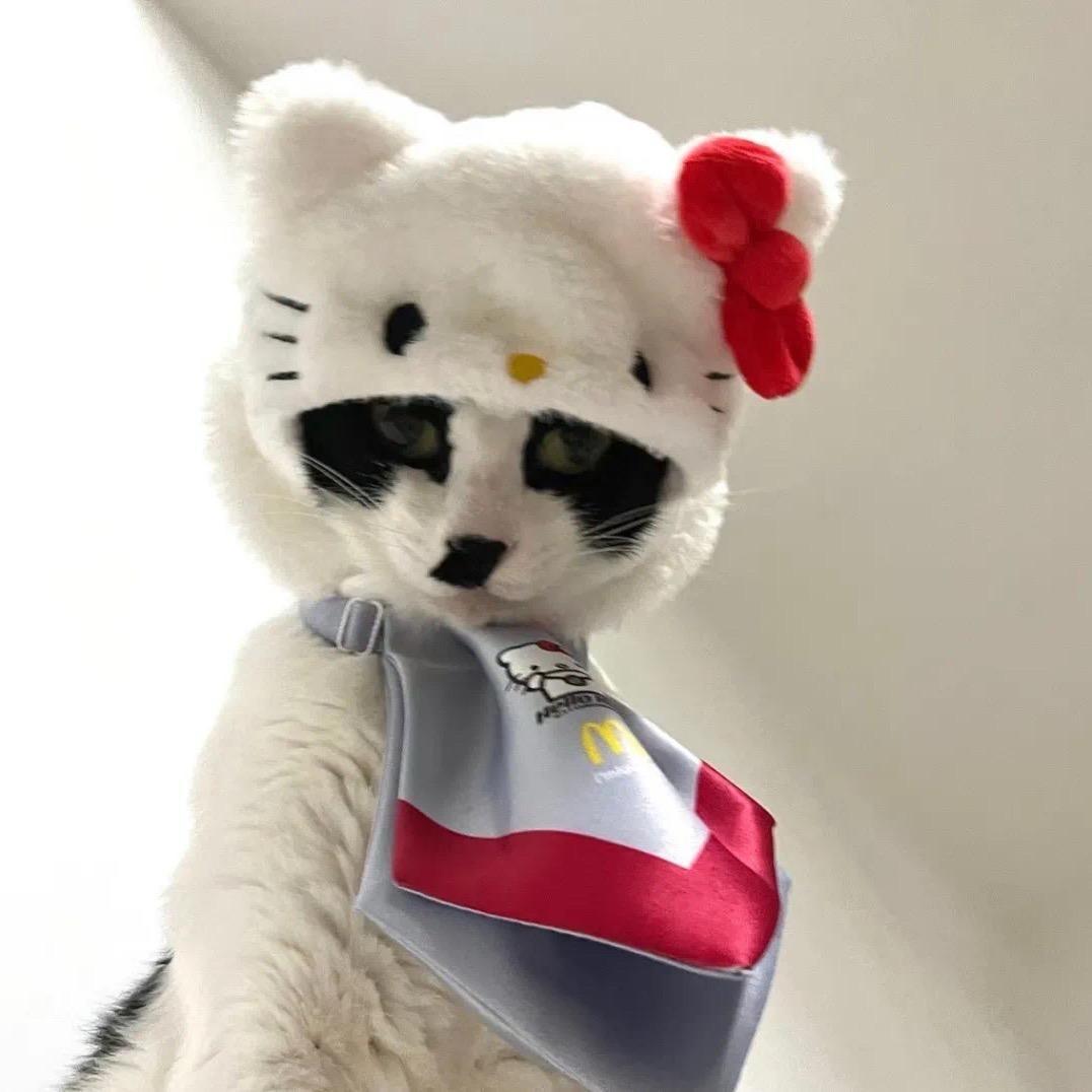 小米辣椒酱🌶️