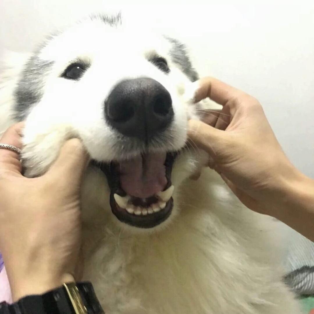 发
