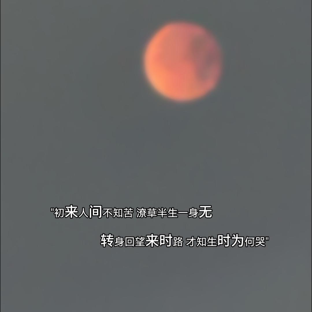♡♡²⁰²⁵₀₇.₀₂ 小馒头🌷
