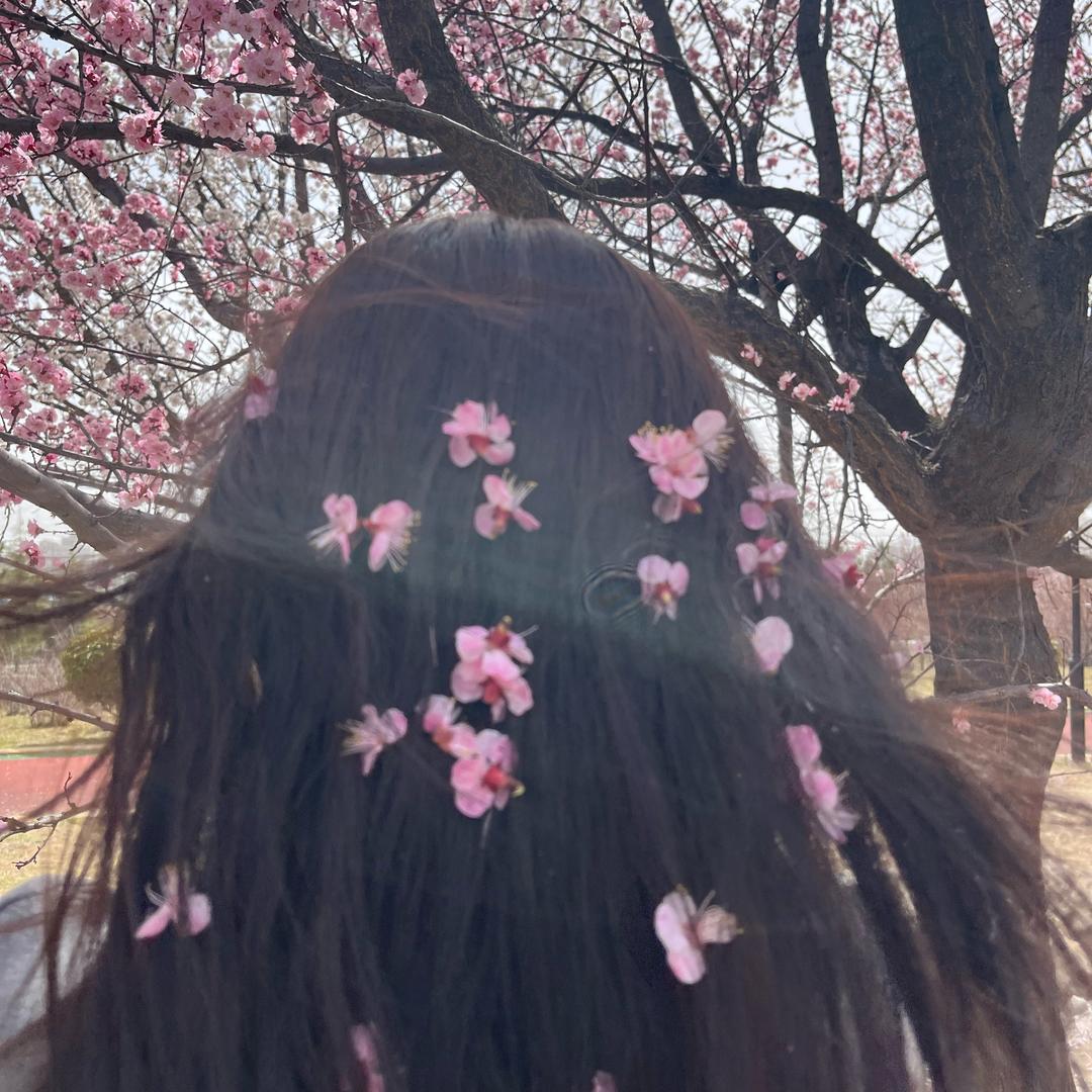 你是谁？