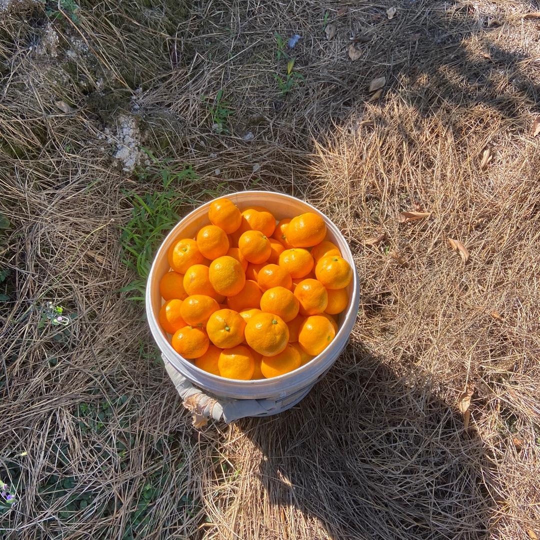 华岙优选鲜果店