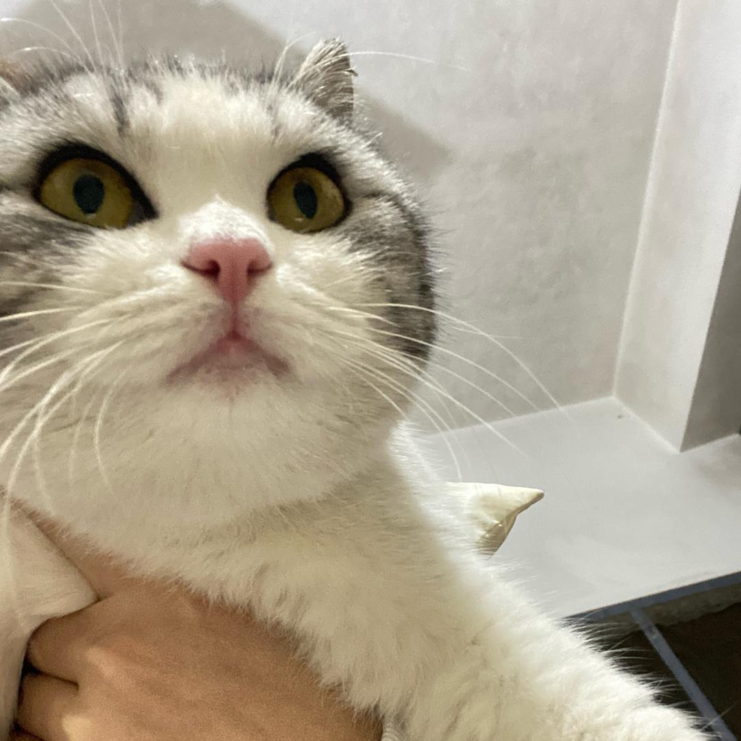 💋💋几年级的这么叼?